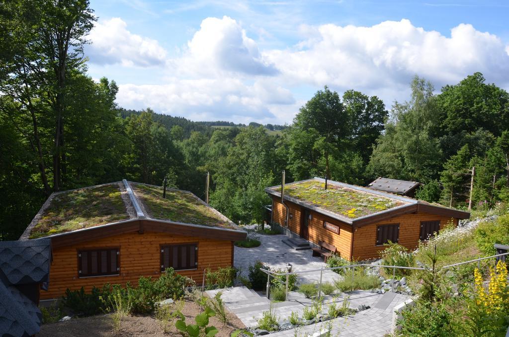 Landhaeuser Bergwiese Sankt Andreasberg Zewnętrze zdjęcie